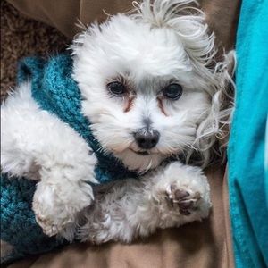 Meet your Posher, Deborah